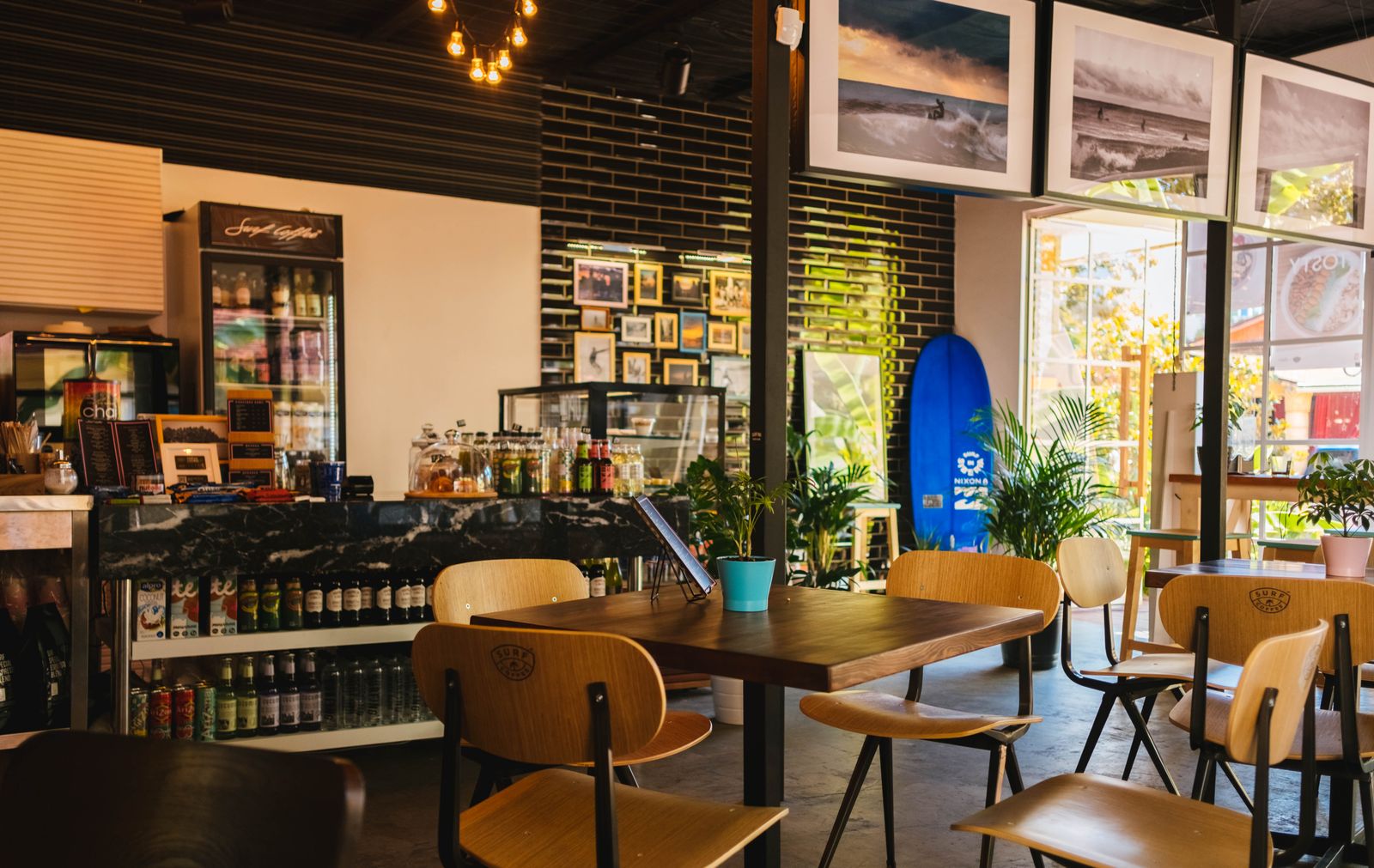 Cafe interior with warm timber and plants